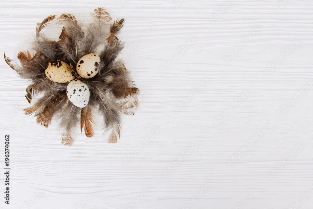Easter eggs with feathers in the shape of a nest on a white background. Easter eggs with feathers in the shape of a nest on a white background.