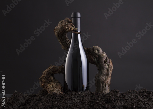 Foto Wine Bottle With Vine to embrace the Bottle, From Hearth and Black Background