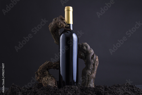 Wine Bottle With Vine to embrace the Bottle, From Hearth and Black Background © volupio