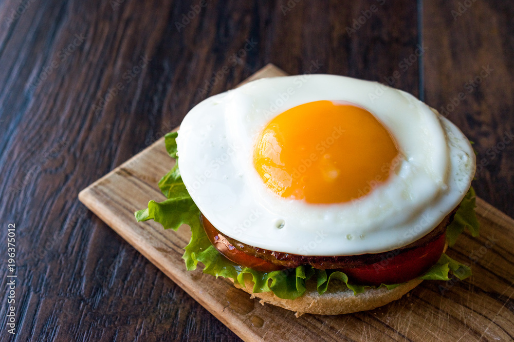 Homemade Double Hamburger with Egg, Lettuce and Tomatoes. Homemade Double Hamburger with Egg, Lettuce and Tomatoes.