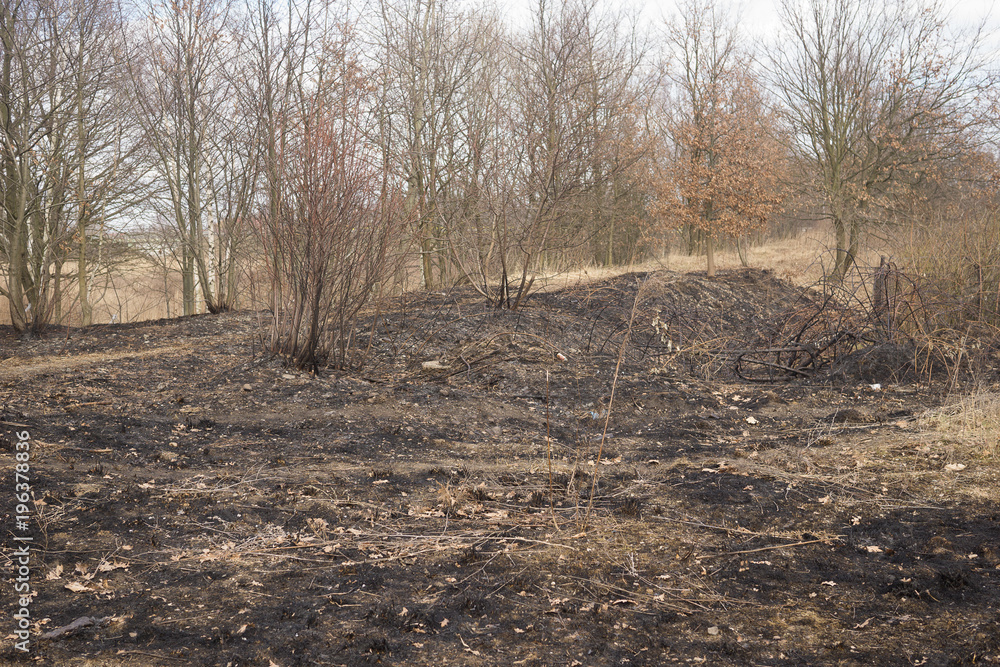 field outside the city with burnt grass in early spring field outside the city with burnt grass in early spring