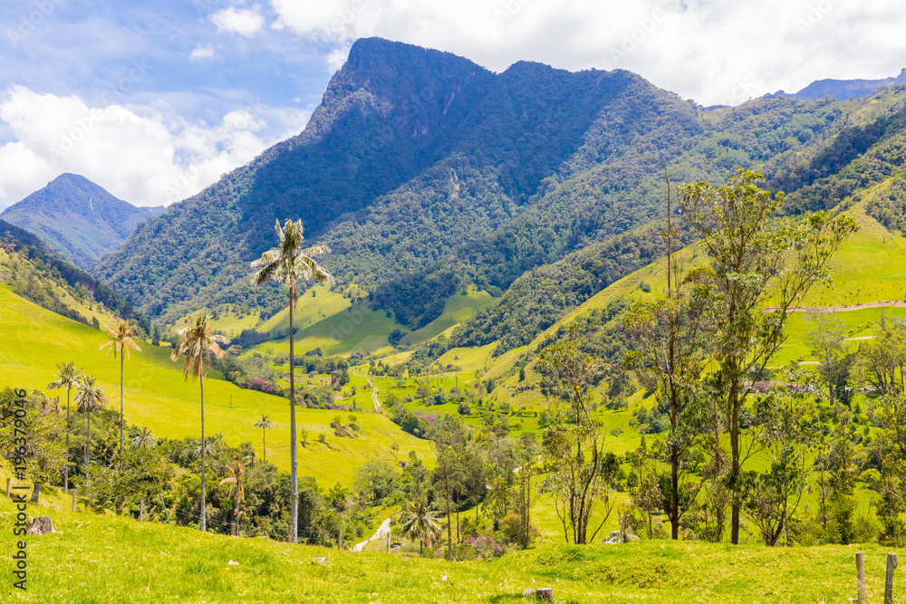 hiking trails in the Cocora Valley Salento hiking trails in the Cocora Valley Salento