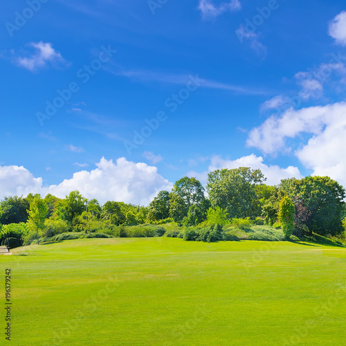 Fototapeta Naklejka Na Ścianę i Meble -  Park, green meadow and blue sky.