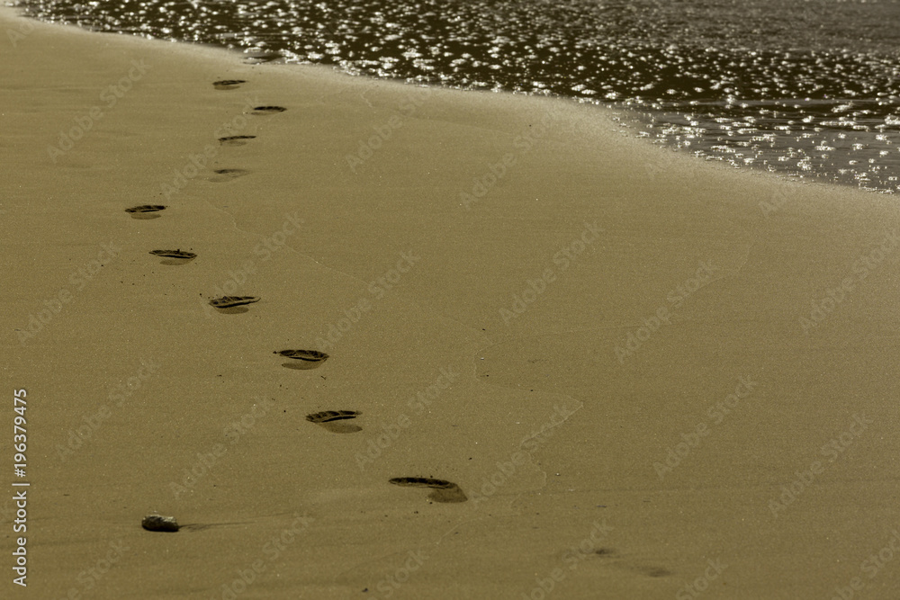 Footprints in the Sand