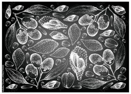Hand Drawn of Luk Rakam and Jujube Fruits on Chalkboard