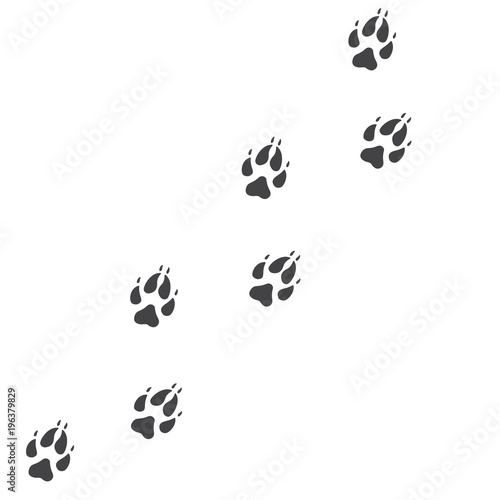 Vector illustration. Fox Paw Prints Track Logo. Black on White background. Animal paw print with claws.