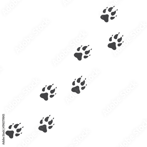 Vector illustration. Wolf Paw Prints Track Logo. Black on White background. Animal paw print with claws.