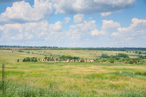 Tavriysky blooming steppe in summer