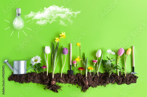 Spring background