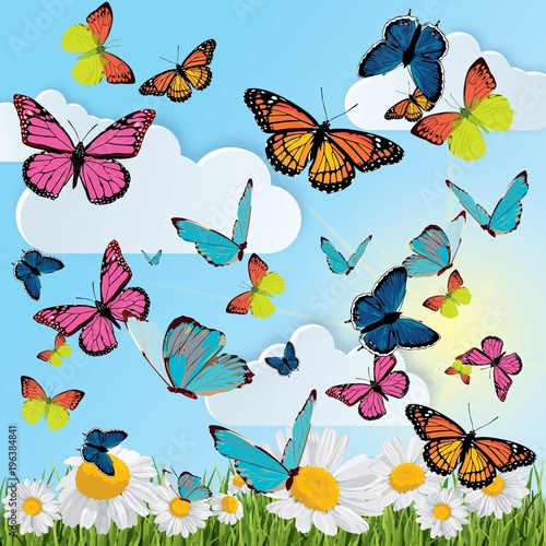 background with butterflies, daisies, grass