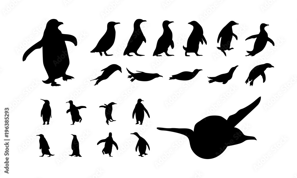 Fototapeta premium zestaw różnych ilustracji wektorowych sylwetka pingwina