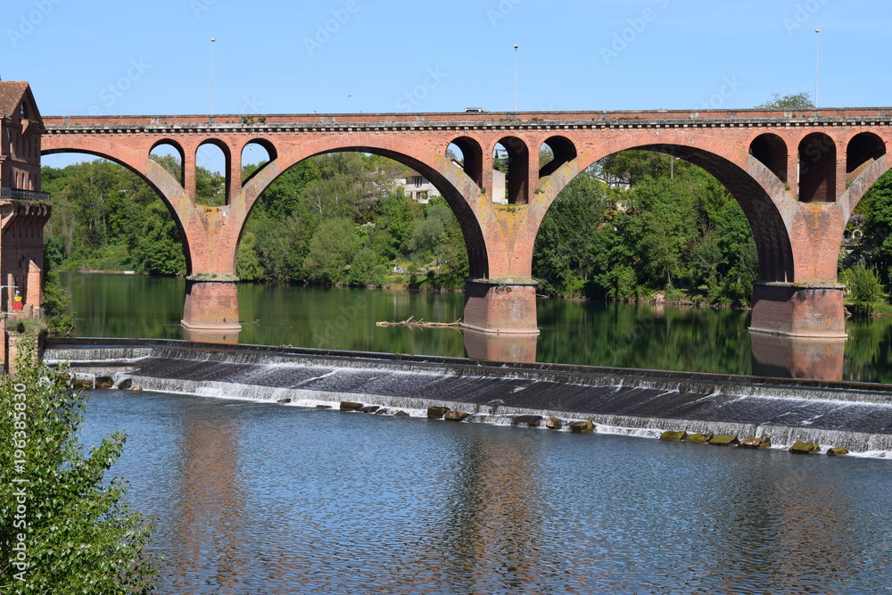 Fototapeta premium Pont Neuf d'Albi (81)
