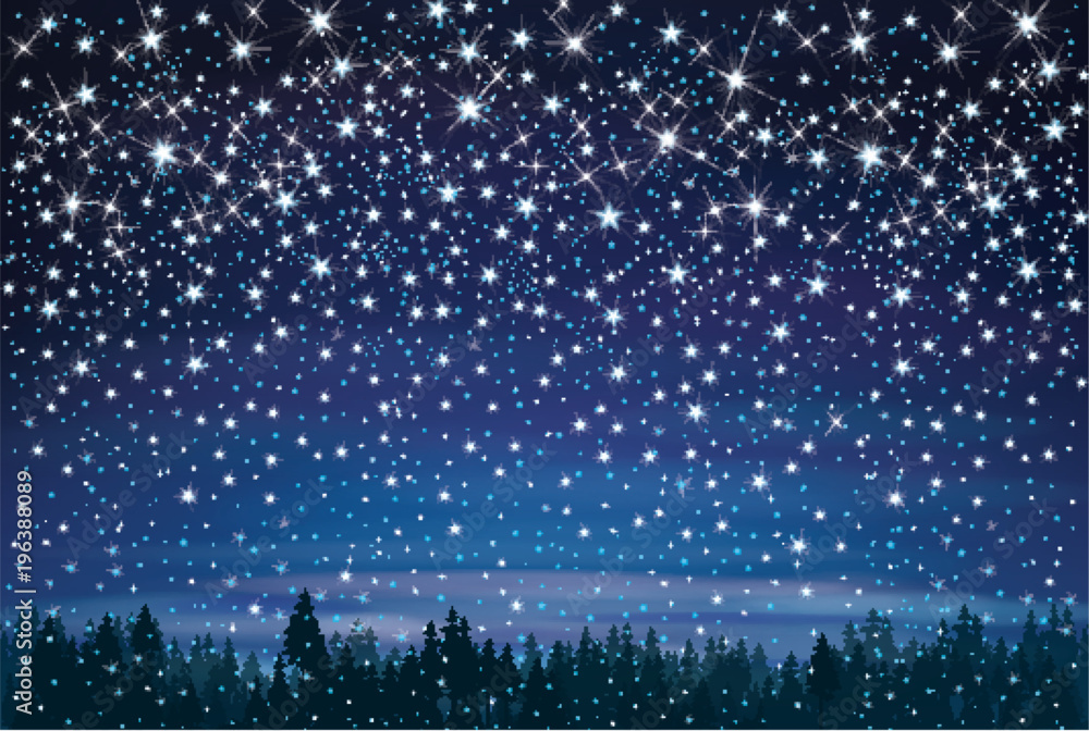 Vector night starry sky and forest background. Stock Vector | Adobe Stock