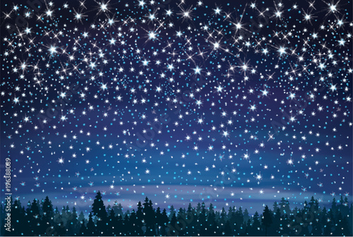 Vector  night starry sky and  forest background.