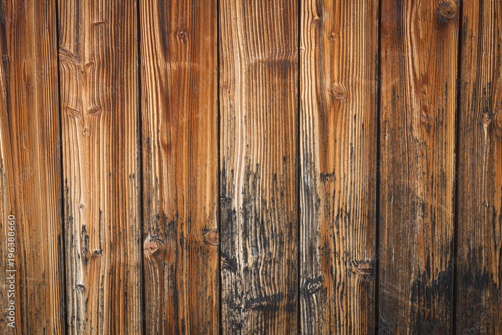Naklejka premium Struktur im Holz