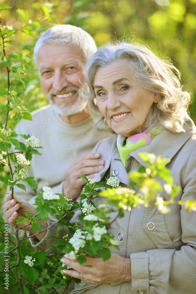 Fototapeta premium couple posing in park