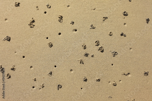 Foto trou de ver de sable