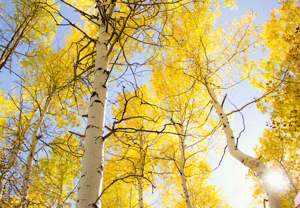 Fototapeta premium Utah Alpines