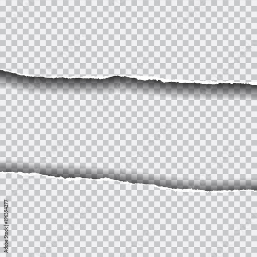 Realistic vector ripped paper with space for your text, on transparent background