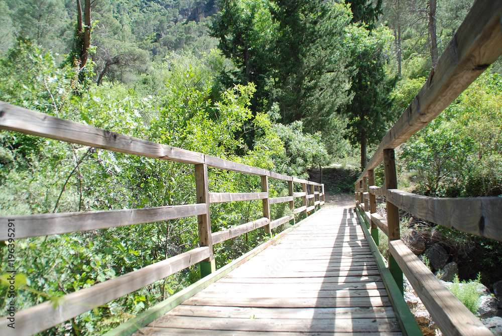 PUENTE DE MADERA EN EL CAMPO