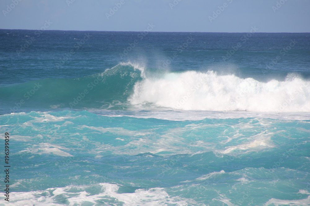 wave ocean
