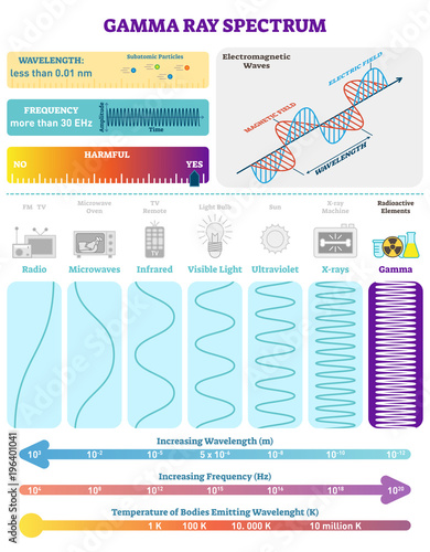 Electromagnetic Waves: Radioactive Gamma Rays Spectrum. Vector illustration diagram with wavelength, frequency, harmfulness and wave structure. 