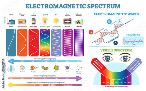 Full Electromagnetic Spectrum Information collection, vector illustration diagram with wave lengths, frequency and temperature. Electromagnetic wave structure scheme. Physics infographic elements.