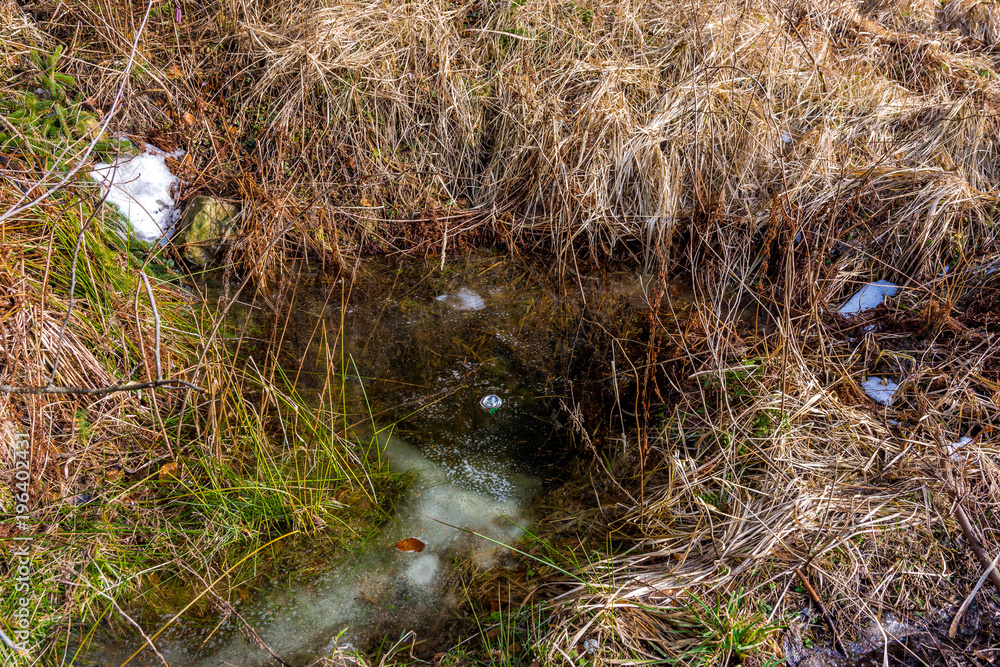 Small spring and puddle in the forest, with the garbage in water. Touristic pollution Small spring and puddle in the forest, with the garbage in water. Touristic pollution