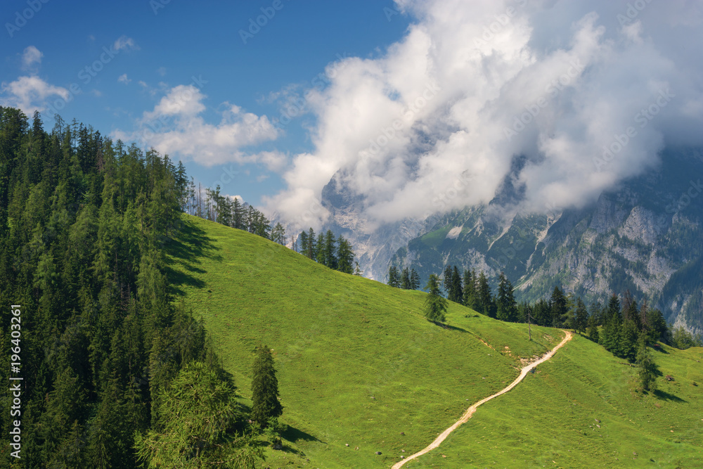 Trailway on green slope in mountains