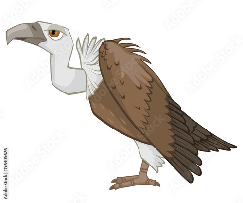 Detailed Cartoon Vulture Vector Illustration Isolated on White