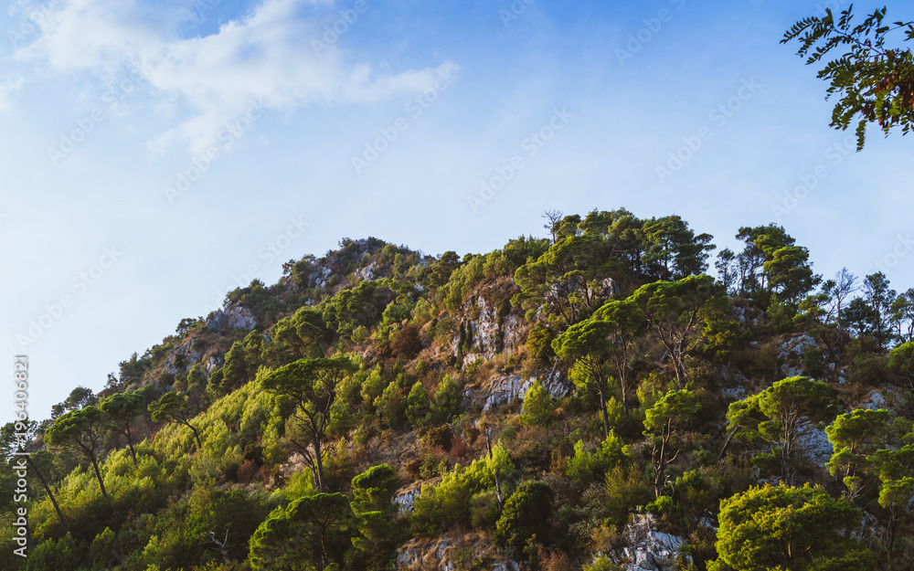 Fototapeta premium A view of sunlit summer mountain covered by forests against blue clear sky, Budva, Montenegro