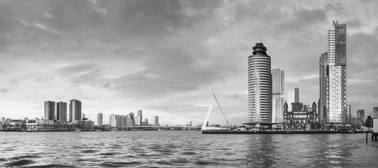 Fototapete Erasmusbrücke Erasmusbrücke Feijenoord Schwarzweiss Panorama  © rustamank