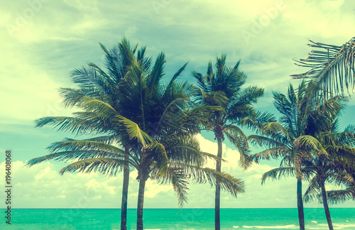 Tropical Miami Beach Palms near the ocean  retro styled