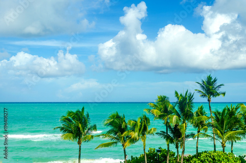 Fototapeta Naklejka Na Ścianę i Meble -  Tropical Miami Beach Palms near the ocean