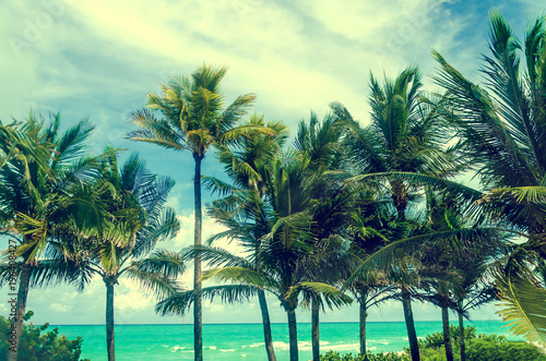 Tropical Miami Beach Palms near the ocean  retro styled