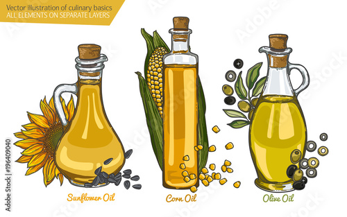 illustration with a set of the most popular cooking oils. Olive oil and olive berries, corn oil and corn cob, sunflower oil and sunflower flower, glass oil vessels.