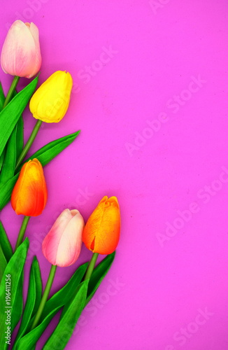 Fototapeta Naklejka Na Ścianę i Meble -  red and pink tulips.flower background
