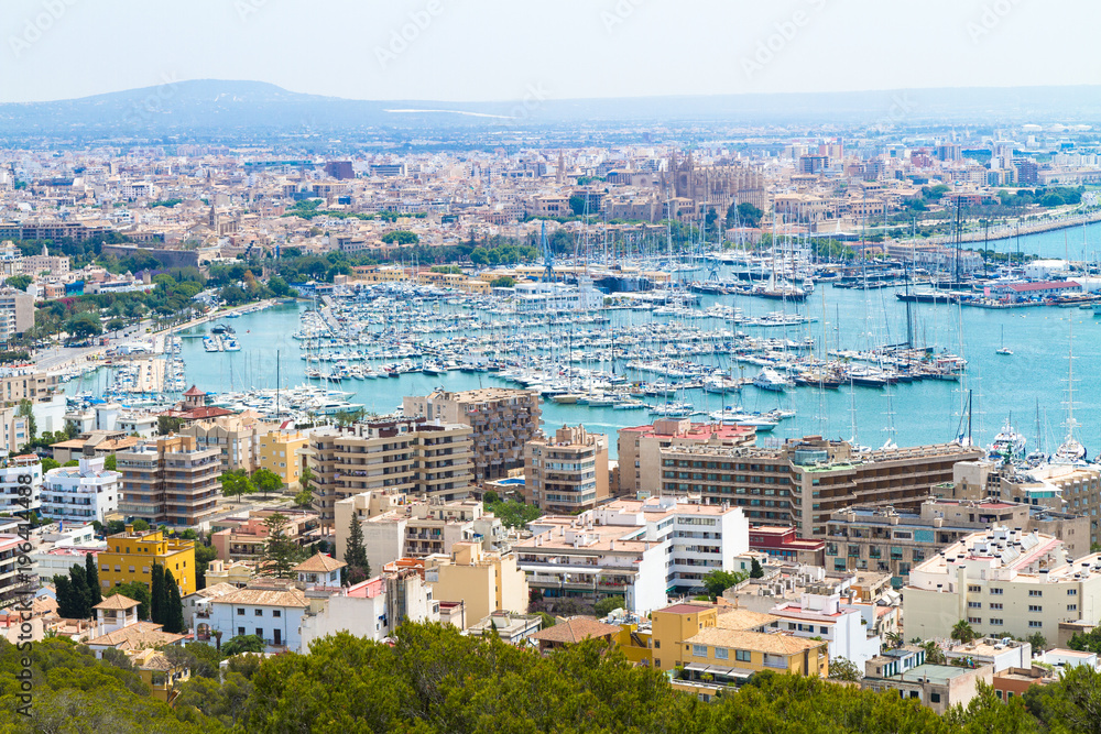 Panoramic skyline view of Palma Mallorca marina with yachts. Viewed in the background is  La Seu Cathedral. 