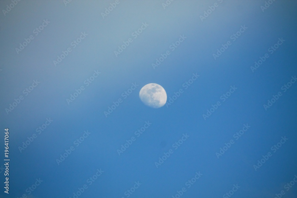 moon moon