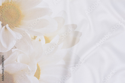 White crumpled wrinkled fabric with waves and large white flowers, daisies, background crumpled tissue, double exposure photo