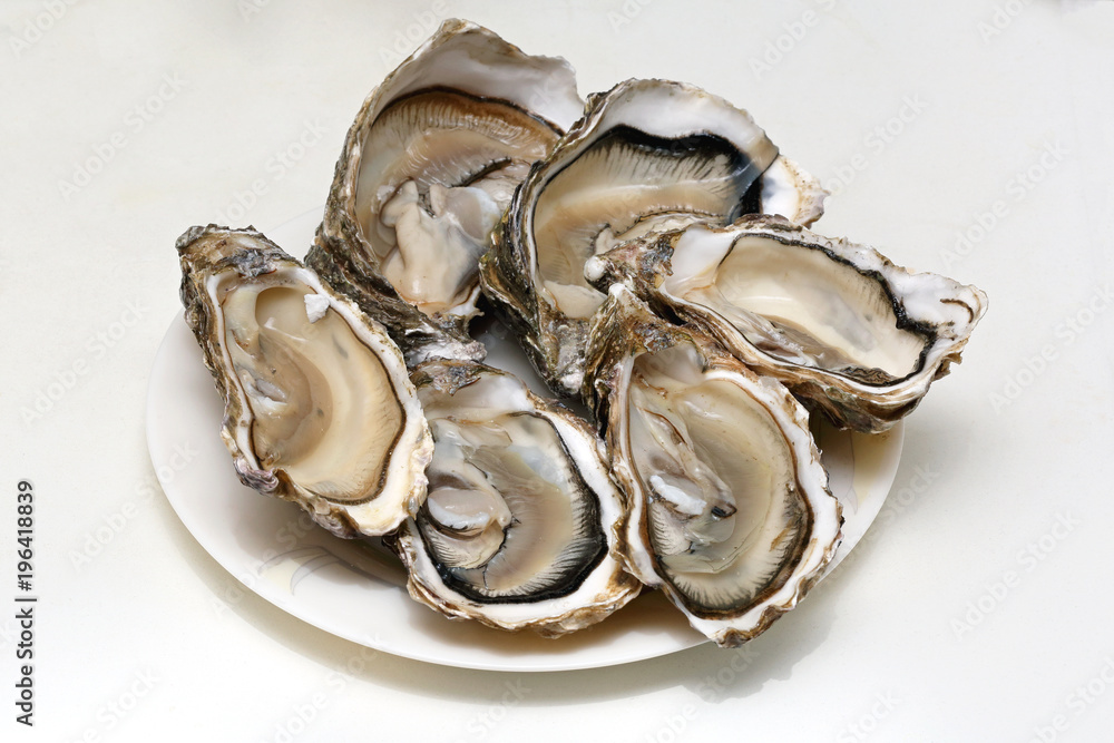 Open Oysters Open Oysters