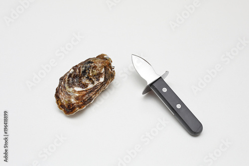 Wallpaper Mural Oyster and Shucker Torontodigital.ca