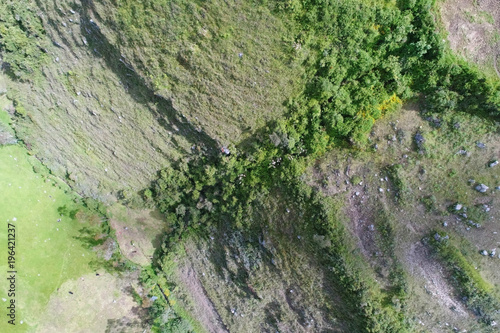 Fields aerial view