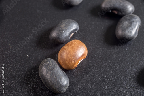 Super macro of black and brown beans on dark background