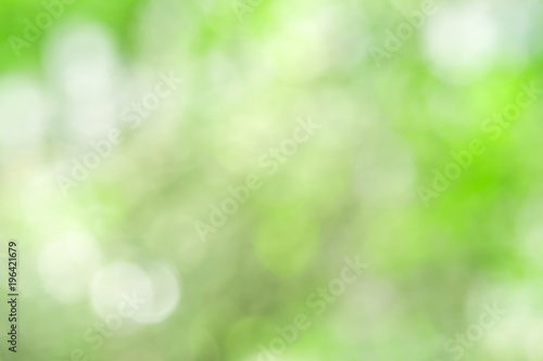 Green blurred background and sunlight with bokeh, spring season.