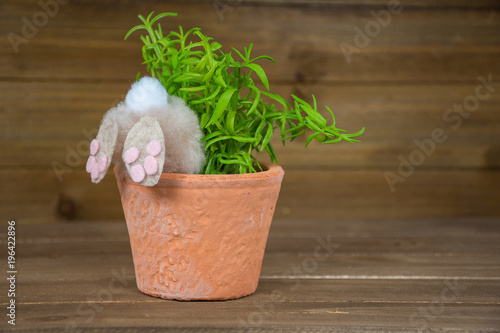 rear view of bunny in green plant flower pot on wood photo