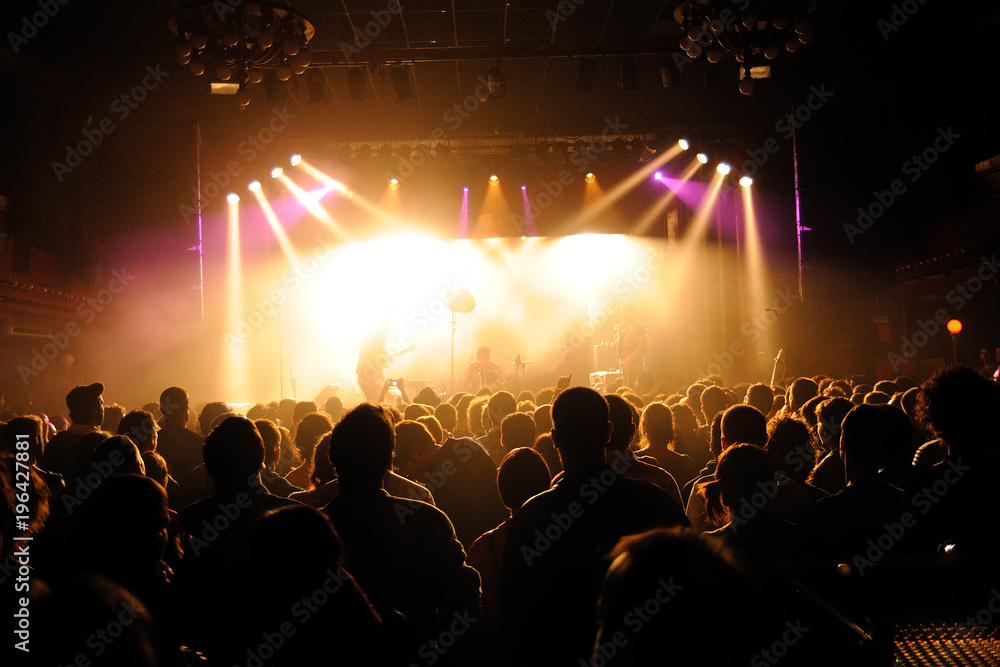Crowd in a concert Crowd in a concert
