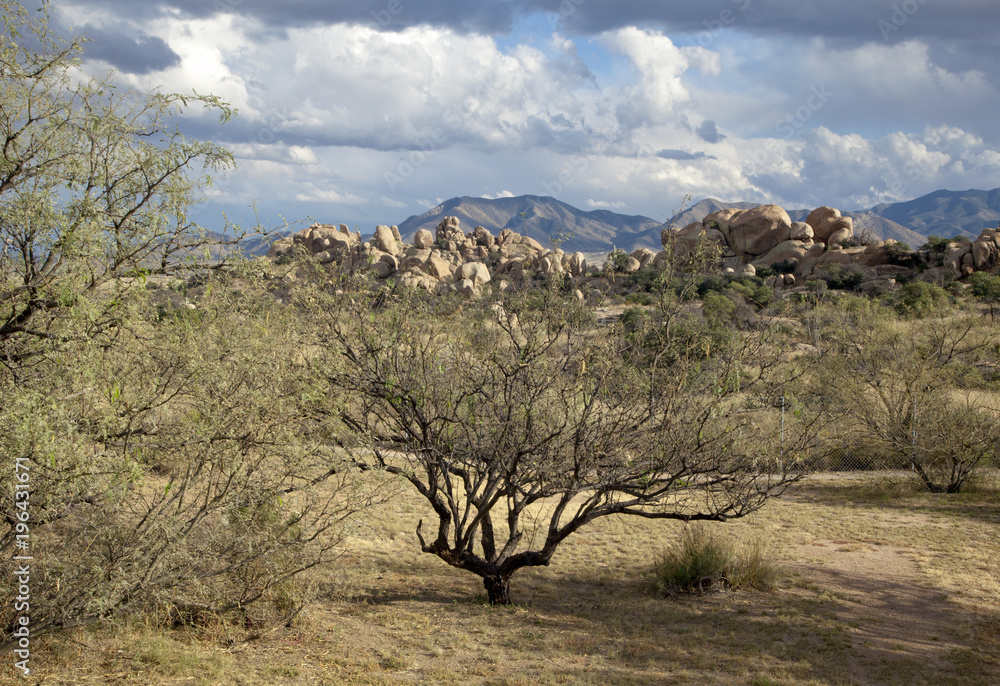 View near Texas Canyon in the Arizona desert,US, 2017. View near Texas Canyon in the Arizona desert,US, 2017.