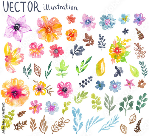Colorful floral collection with flowers, leaves and berries