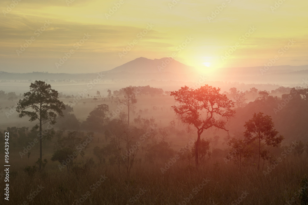 Sunrise landscape nature view as in summer time. Sunrise landscape nature view as in summer time.